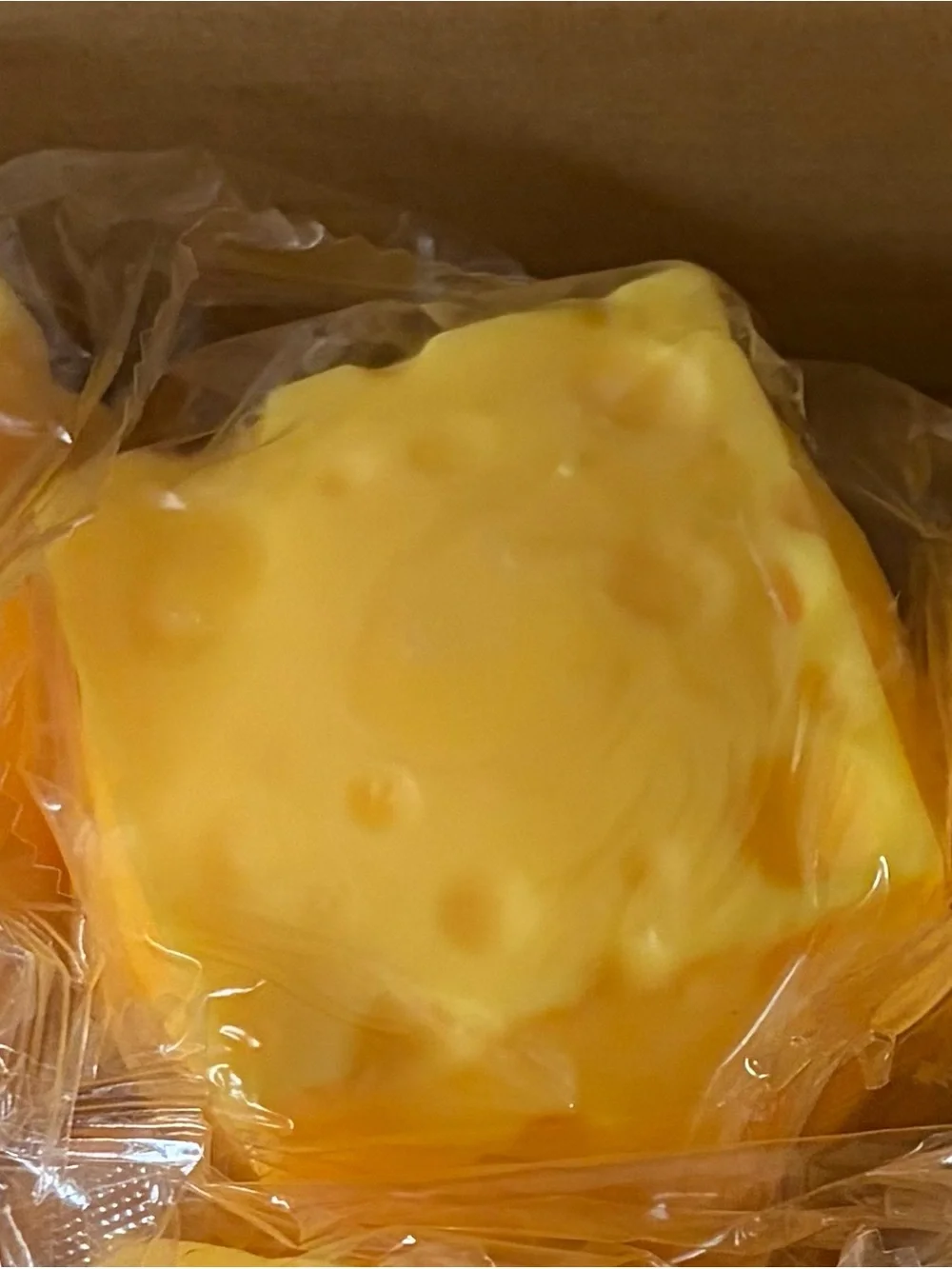 Cheese Sensory Squeezable Toy - Orange